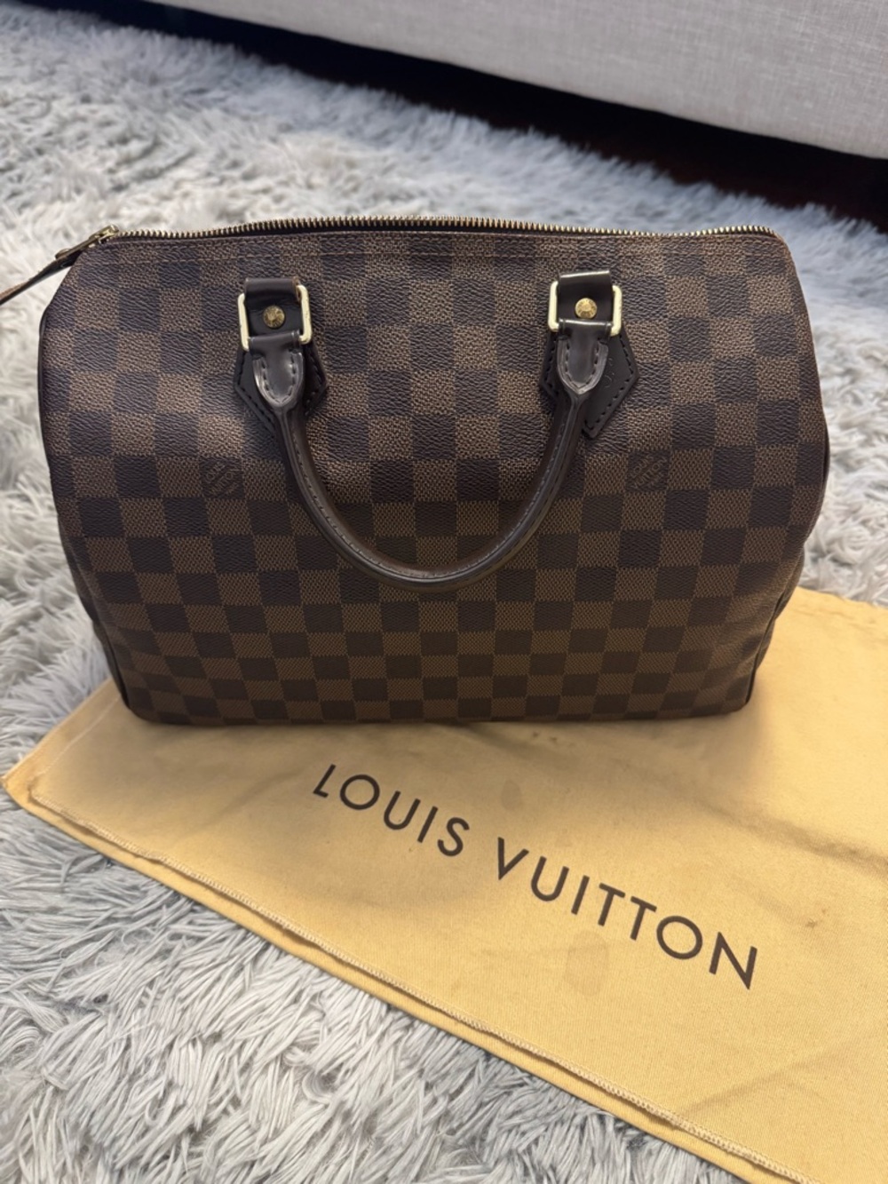 Louis Vuitton Damier Ebene Speedy 30